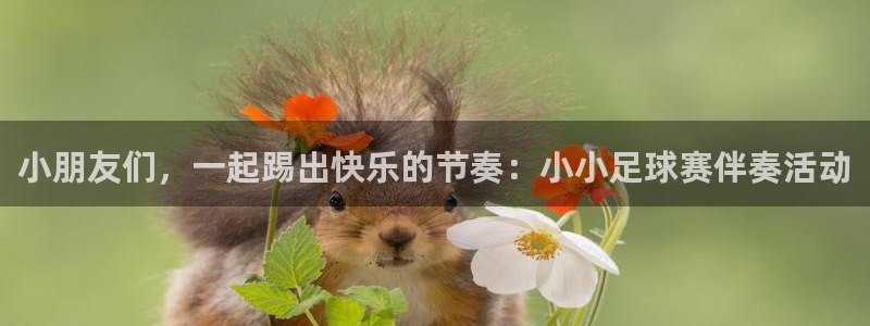 小朋友们，一起踢出快乐的节奏：小小足球赛伴奏活动