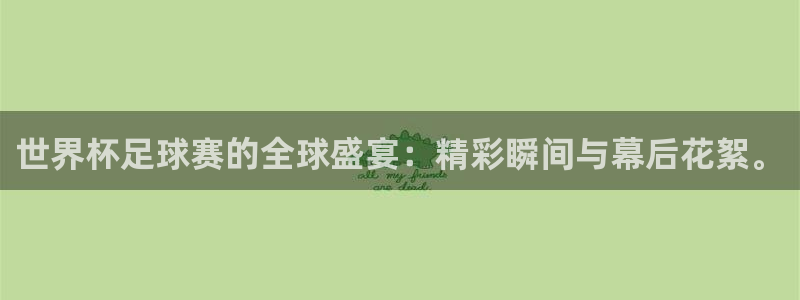  世界杯足球赛的全球盛宴：精彩瞬间与幕后花絮。