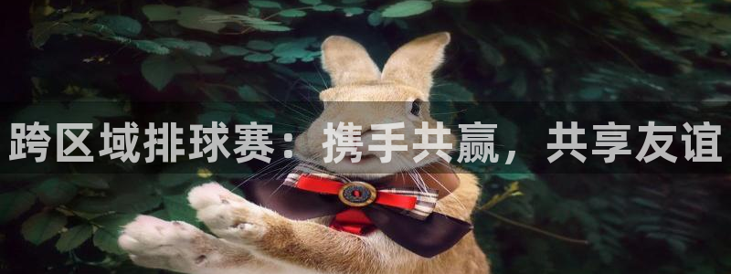 跨区域排球赛：携手共赢，共享友谊