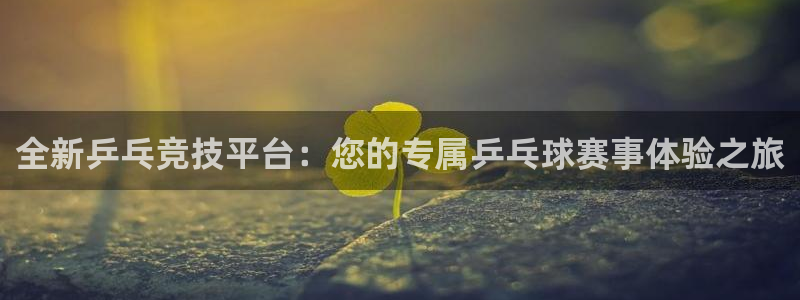  vsport体育官网注册：全新乒乓竞技平台：您的专属乒乓球赛
