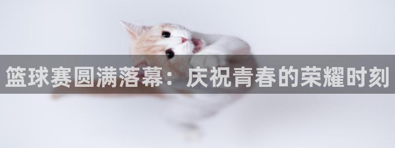 VSPORT什么意思：篮球赛圆满落幕：庆祝青春的荣耀时刻