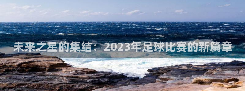 vsports足球官方网站：未来之星的集结：2023年足球比