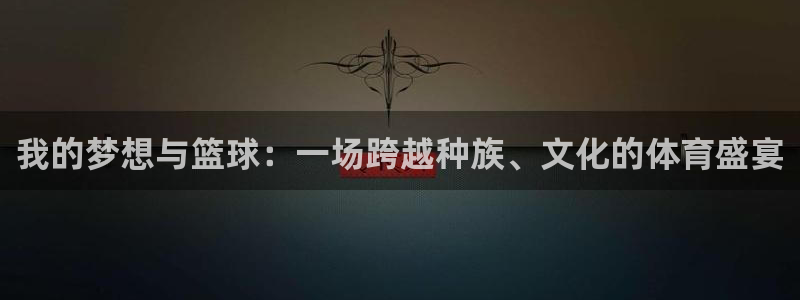 vsport体育官网入口：我的梦想与篮球：一场跨越种族、文化
