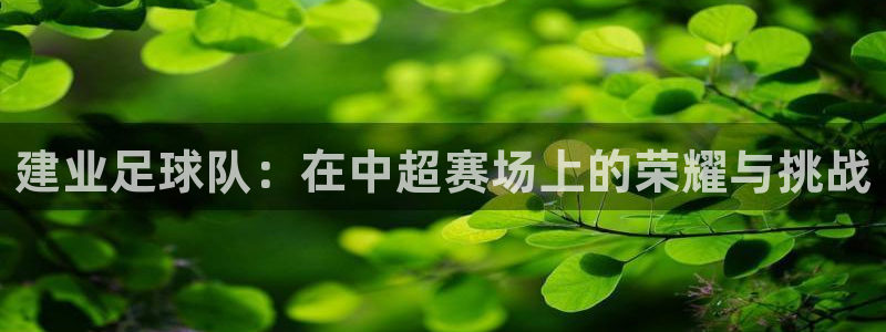  vsports胜利：建业足球队：在中超赛场上的荣耀与挑战
