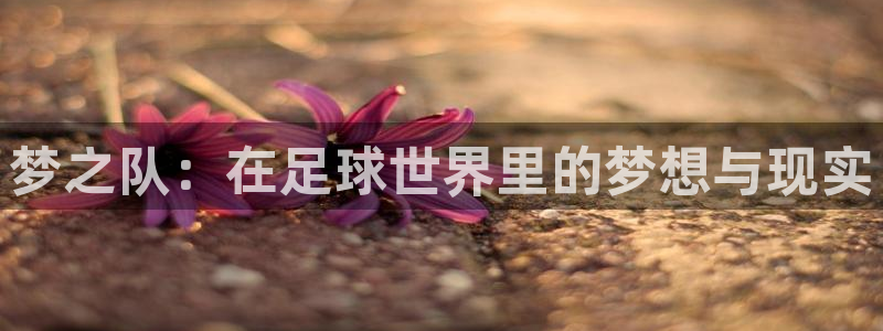  Vsport体育阿根廷官方：梦之队：在足球世界里的梦想与现实