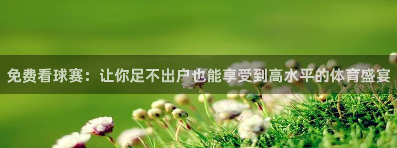 VSport体育官网入口：免费看球赛：让你足不出户也能享受到