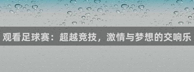  VSport胜利因您更精彩阿根廷比赛：观看足球赛：超越竞技，