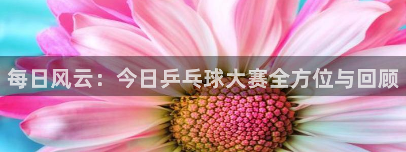 vsport体育平台：每日风云：今日乒乓球大赛全方位与回顾