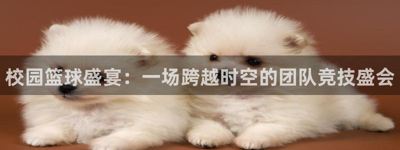 vsports地狱汉堡：校园篮球盛宴：一场跨越时空的团队竞技