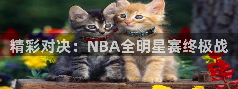 vsports胜利因您更精彩：精彩对决：NBA全明星赛终极战