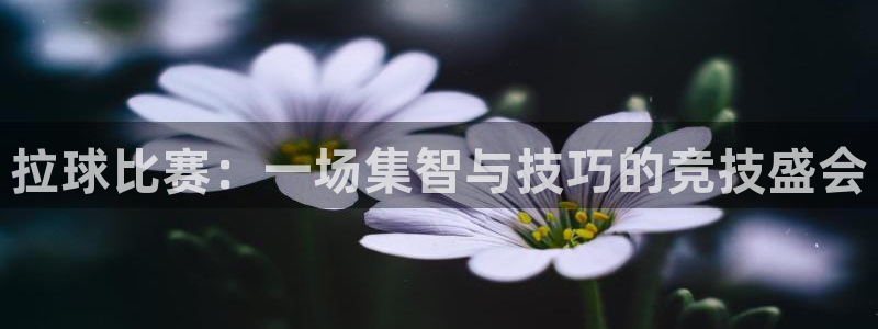  vsports阿根廷最新消息：拉球比赛：一场集智与技巧的竞技