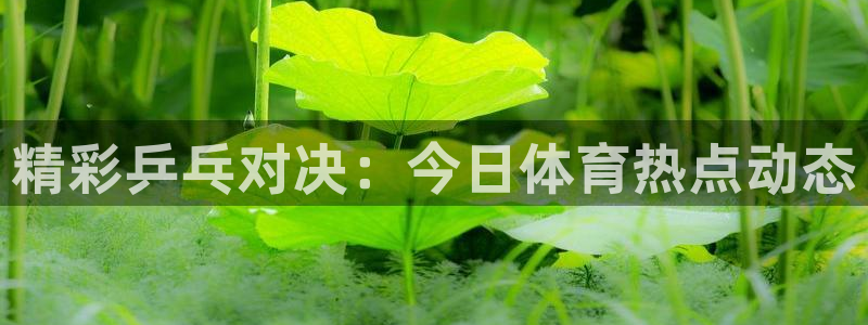 vsports阿根廷最新消息：精彩乒乓对决：今日体育热点动态