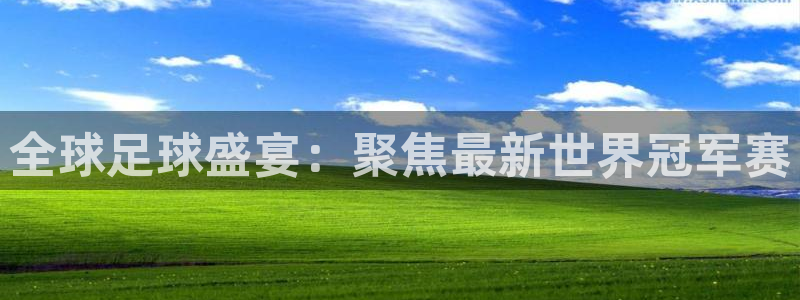 vsports胜利因您更精彩阿根廷：全球足球盛宴：聚焦最新世
