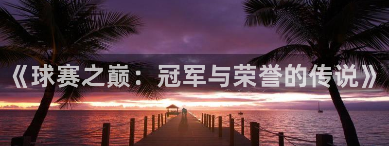  VSport胜利因您更精彩阿根廷：《球赛之巅：冠军与荣誉的传