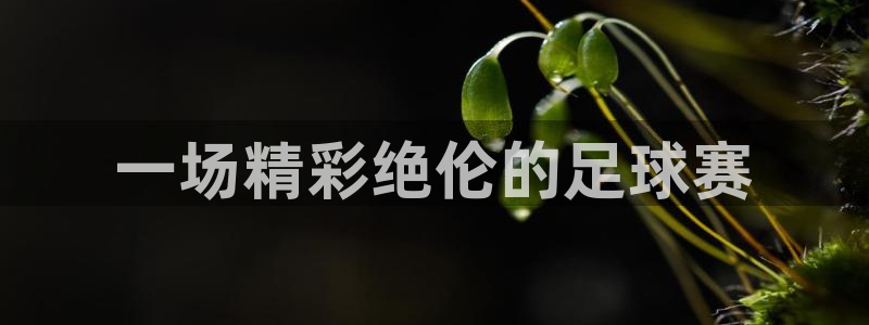 vsports足球官方网站：一场精彩绝伦的足球赛