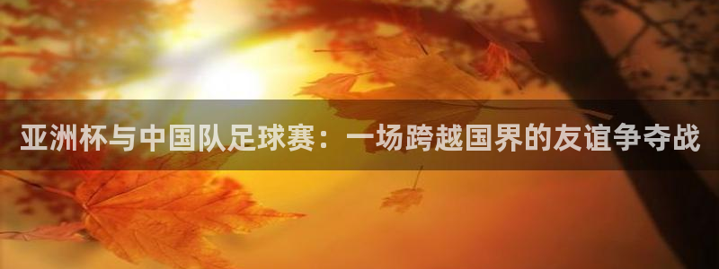  VSport胜利因您更精彩：亚洲杯与中国队足球赛：一场跨越国